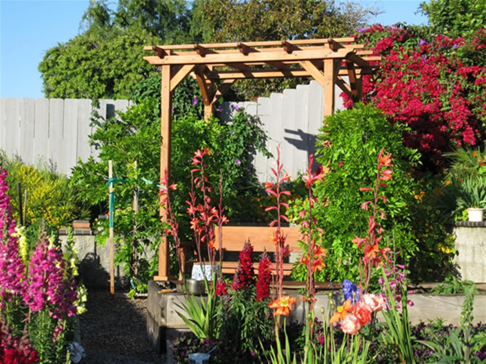 Small Pergola Kit and a Heritage Redwood Bench By Aileen & Francis K. of San Diego, CA.